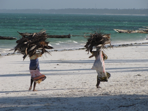 Taking-Home-Firewood-on-the-Eastern-Shore-of-Zanzibar-Tanzania-Africa-holiday